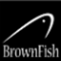 BrownFish Business Solutions logo, BrownFish Business Solutions contact details