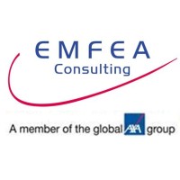 Emfea Consulting SA logo, Emfea Consulting SA contact details