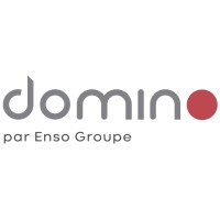 DOMINO SAS logo, DOMINO SAS contact details