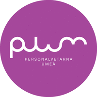 PLUM - Personalvetarna Umeå logo, PLUM - Personalvetarna Umeå contact details