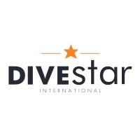 Divestar International The Netherlands logo, Divestar International The Netherlands contact details