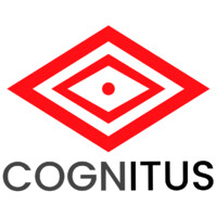 Cognitus Consulting Czechia s.r.o. logo, Cognitus Consulting Czechia s.r.o. contact details