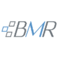 BMR CONSULTING SRL logo, BMR CONSULTING SRL contact details