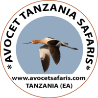 Avocet Tanzania Safaris logo, Avocet Tanzania Safaris contact details