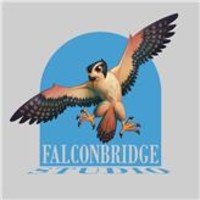 Falconbridge Studio logo, Falconbridge Studio contact details