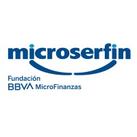 Microserfin logo, Microserfin contact details