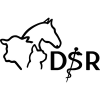 Veterinary Student Board UGent (DSR) logo, Veterinary Student Board UGent (DSR) contact details