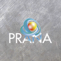 Prana S.r.l. logo, Prana S.r.l. contact details