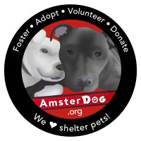 AmsterDog Rescue logo, AmsterDog Rescue contact details