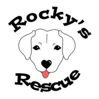 Rocky's Rescue logo, Rocky's Rescue contact details