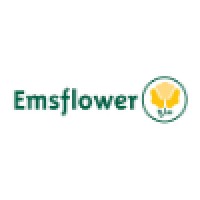 Emsflower GmbH logo, Emsflower GmbH contact details