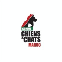 Association Comme Chiens Et Chats Maroc logo, Association Comme Chiens Et Chats Maroc contact details