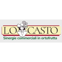 Lo Casto S.r.l. logo, Lo Casto S.r.l. contact details