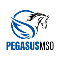 PegasusMSO, LLC logo, PegasusMSO, LLC contact details