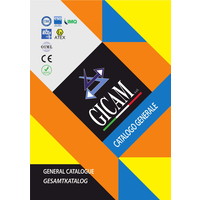 Gicam S.r.l. logo, Gicam S.r.l. contact details