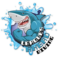 Leagues Ahead Diving logo, Leagues Ahead Diving contact details