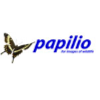 Papilio logo, Papilio contact details