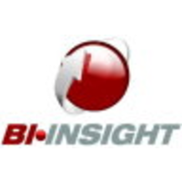 BI INSIGHT South Africa logo, BI INSIGHT South Africa contact details