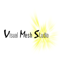 Visual Mesh Studio logo, Visual Mesh Studio contact details