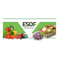 ESOF Ltd logo, ESOF Ltd contact details