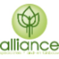 Alliance BV logo, Alliance BV contact details