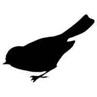 Bird Seed Source logo, Bird Seed Source contact details