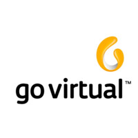 Go Virtual México logo, Go Virtual México contact details