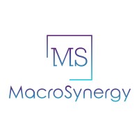 MacroSynergy logo, MacroSynergy contact details