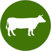 GoLivestock logo, GoLivestock contact details