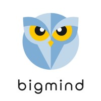 Bigmind Trading Systems logo, Bigmind Trading Systems contact details