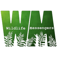 Wildlife Messengers logo, Wildlife Messengers contact details