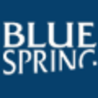 Bluespring Consulting GmbH logo, Bluespring Consulting GmbH contact details