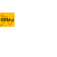 Base International & BRMoz logo, Base International & BRMoz contact details