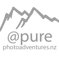 @purephotoadventures.nz logo, @purephotoadventures.nz contact details