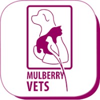 Mulberry Vets logo, Mulberry Vets contact details