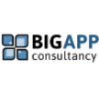 Big App Consultancy Ltd logo, Big App Consultancy Ltd contact details