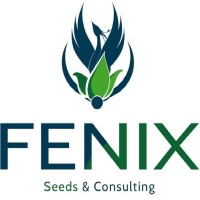 Fenix S.r.l. logo, Fenix S.r.l. contact details