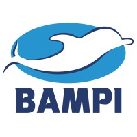 BAMPI logo, BAMPI contact details