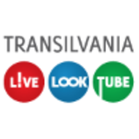 Transilvania Media Group logo, Transilvania Media Group contact details