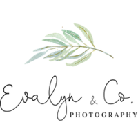 Evalyn & Co Photography logo, Evalyn & Co Photography contact details