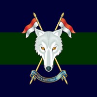 Scottish and North Irish Yeomanry logo, Scottish and North Irish Yeomanry contact details