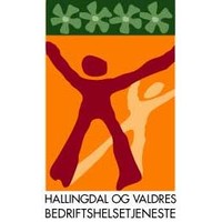 HALLINGDAL OG VALDRES BEDRIFTSHELSETJENESTE SA logo, HALLINGDAL OG VALDRES BEDRIFTSHELSETJENESTE SA contact details