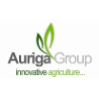 Auriga Group logo, Auriga Group contact details