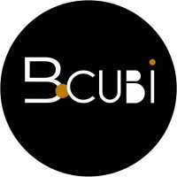 BoCubi logo, BoCubi contact details