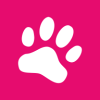 LinkingPets logo, LinkingPets contact details