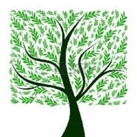 LifeTree Financial, LLC logo, LifeTree Financial, LLC contact details