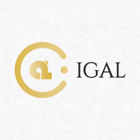 International Group of Auditors and Lawyers logo, International Group of Auditors and Lawyers contact details