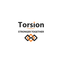 Torsion Consulting logo, Torsion Consulting contact details