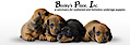 Bosley's Place Inc. logo, Bosley's Place Inc. contact details