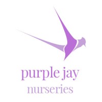 Purple Jay Nurseries logo, Purple Jay Nurseries contact details